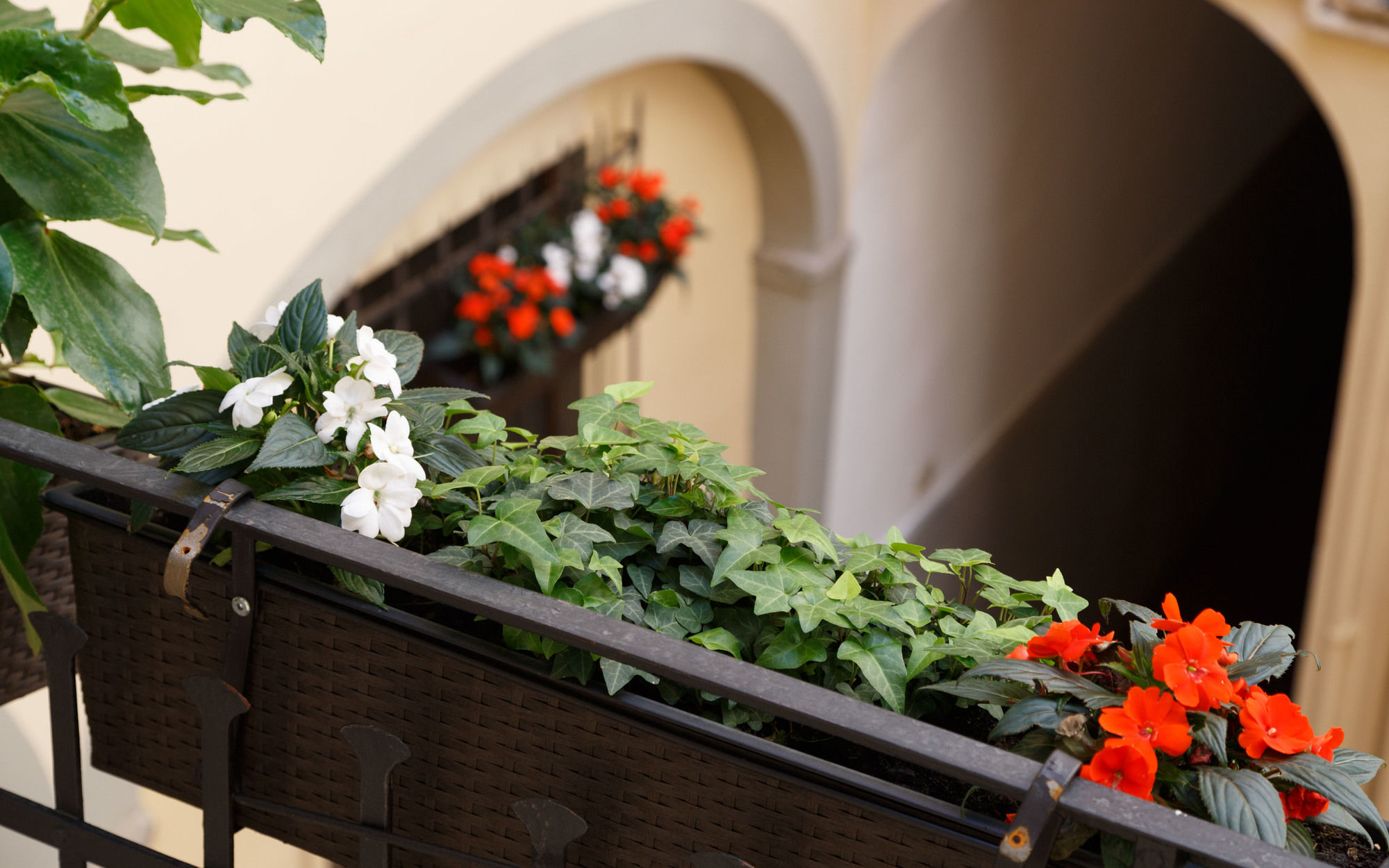 Фото Ginori Al Duomo & Ginori Garden Deluxe