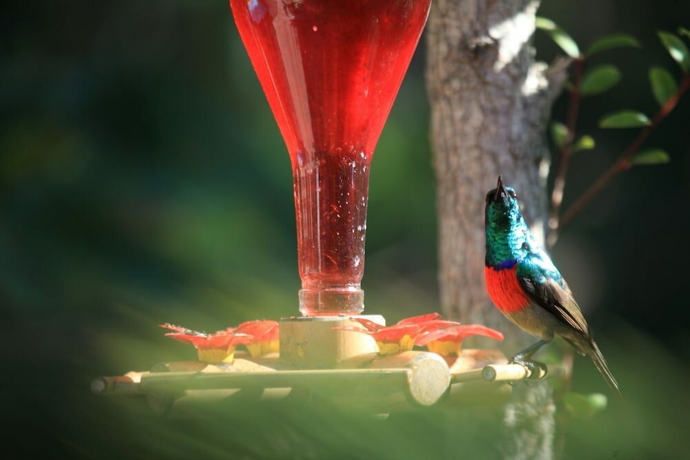 Фото Cinnamon Boutique