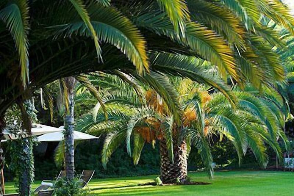 Фото Hlangana Lodge