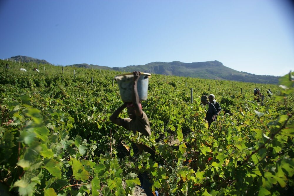 Фото Boschendal Farm Estate