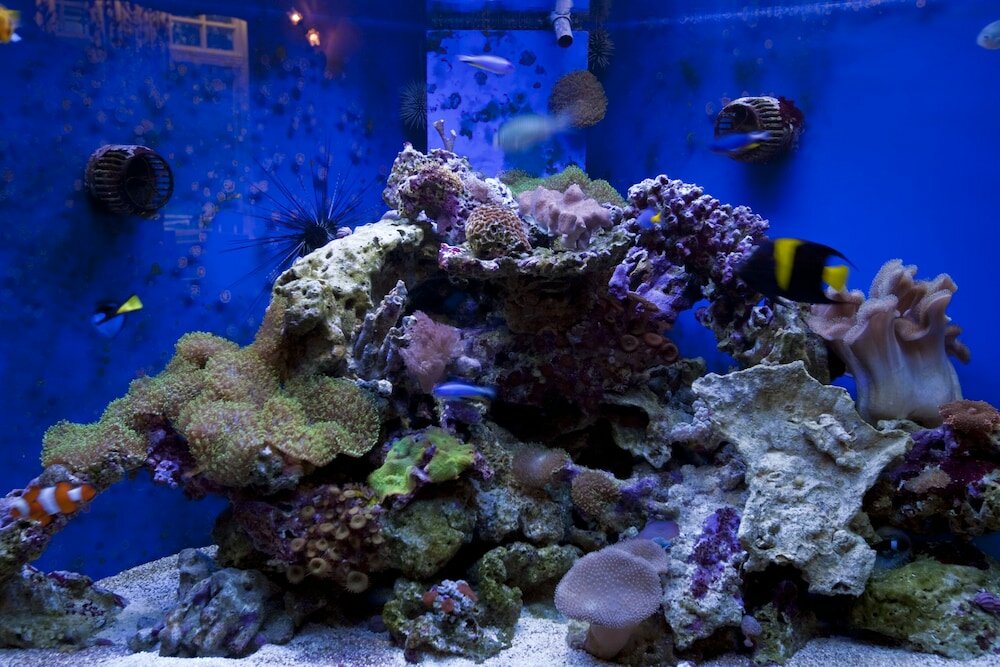 Фото Hawksmoor Guest House