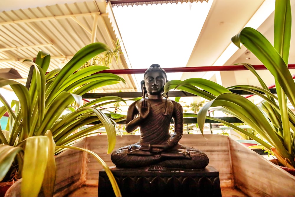 Фото Hotal Devraj Niwas on Lake Pichola Udaipur