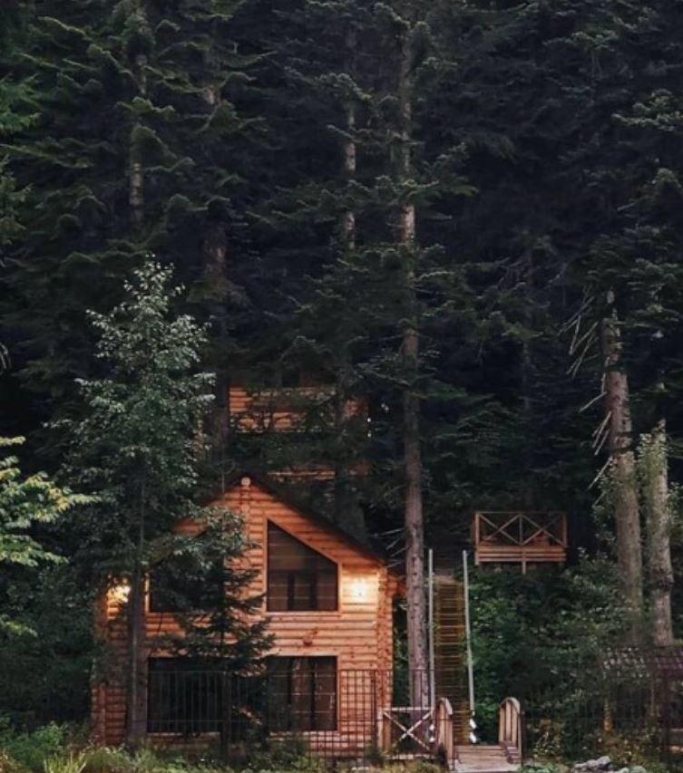 Фото Домик в лесу