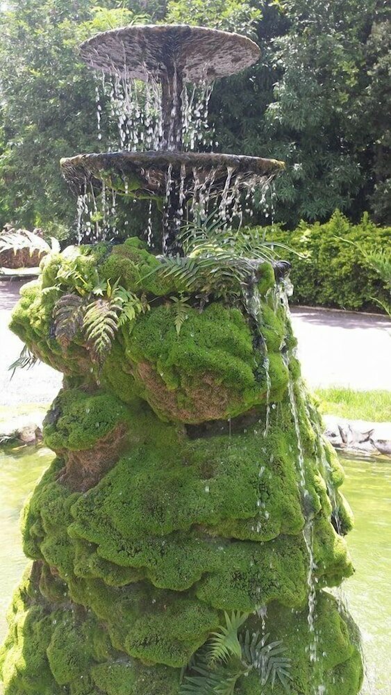 Фото Hotel Bonsai