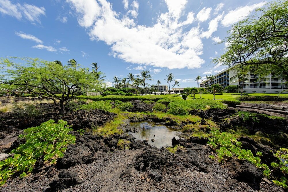 Фото Marriott's Waikoloa Ocean Club