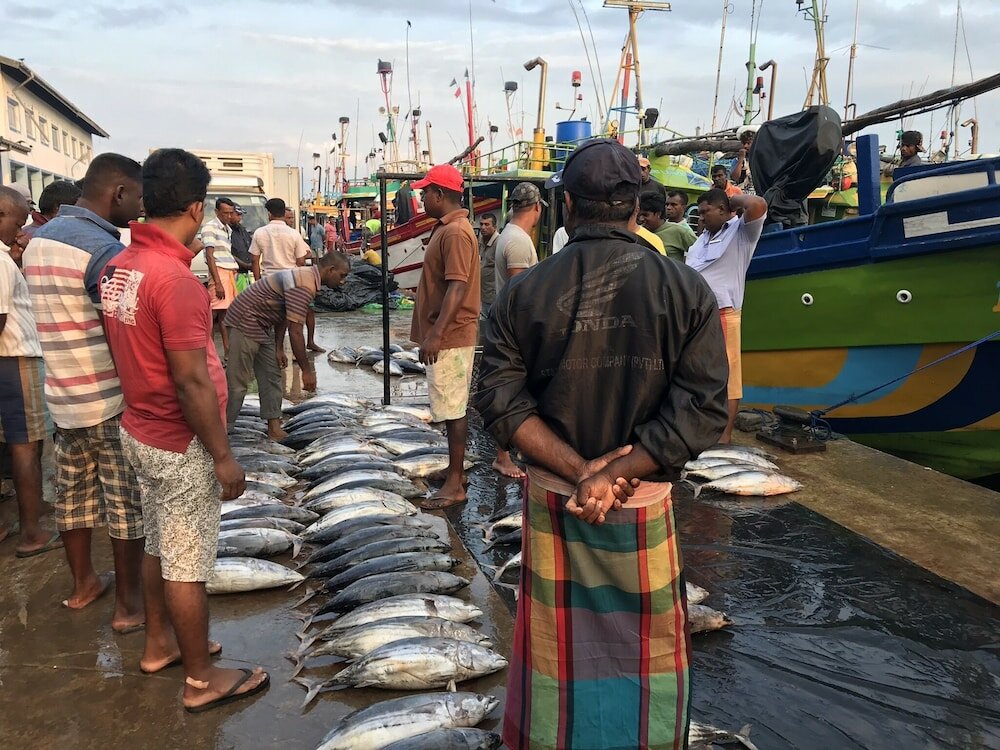 Фото Handagedara Resort