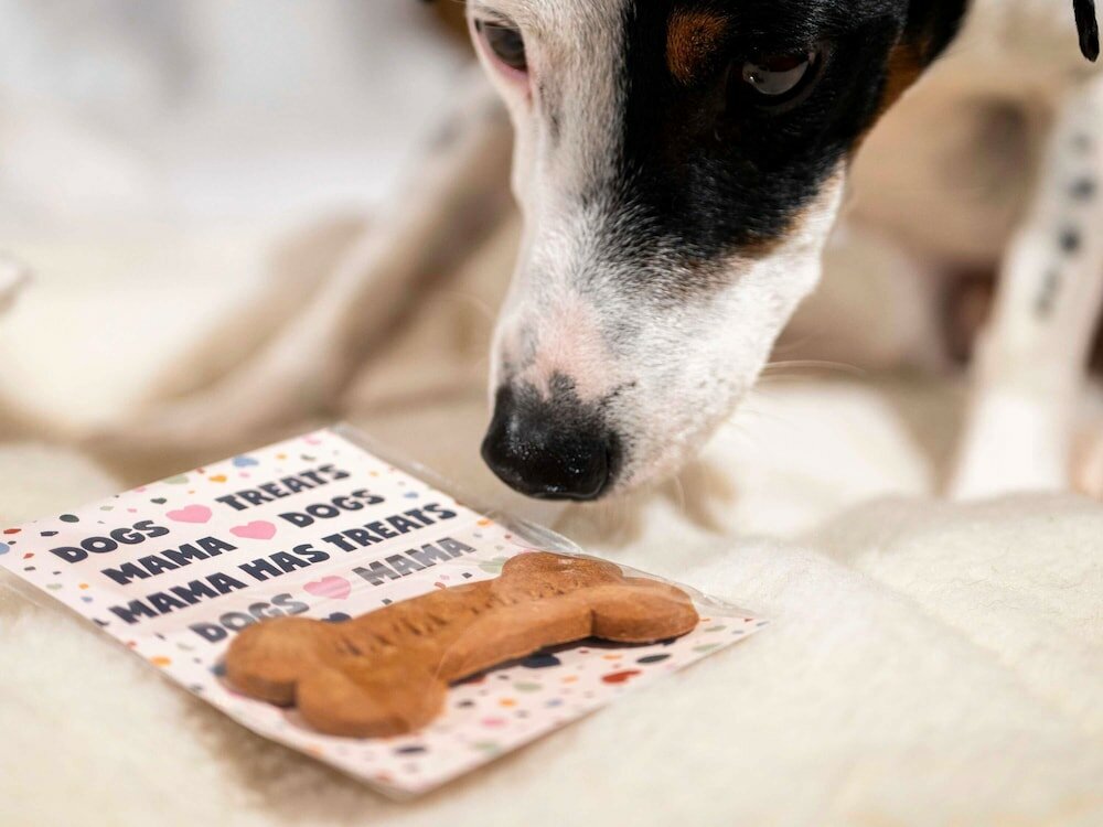 Фото Mama Shelter Prague
