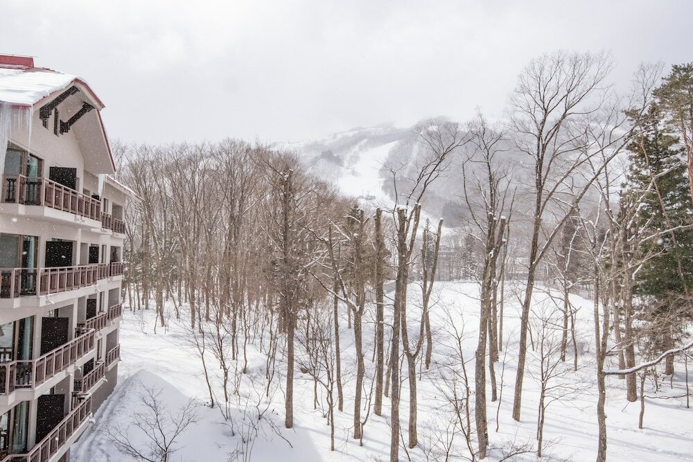 Фото Hakuba Tokyu Hotel