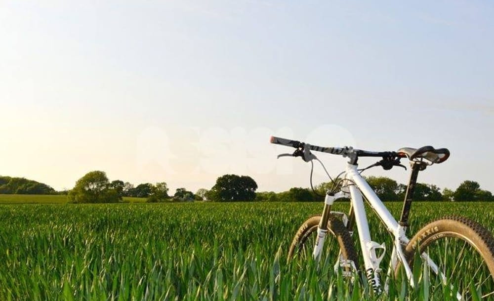 Фото Hotel Cenacolo Assisi