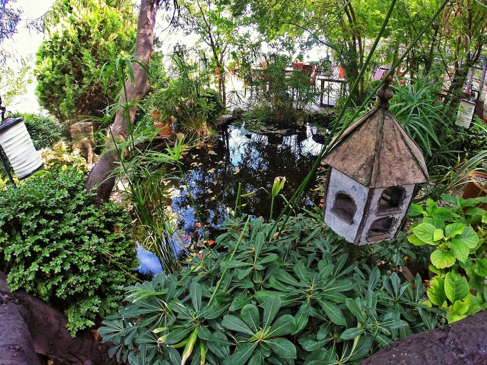 Фото Manici Kasri