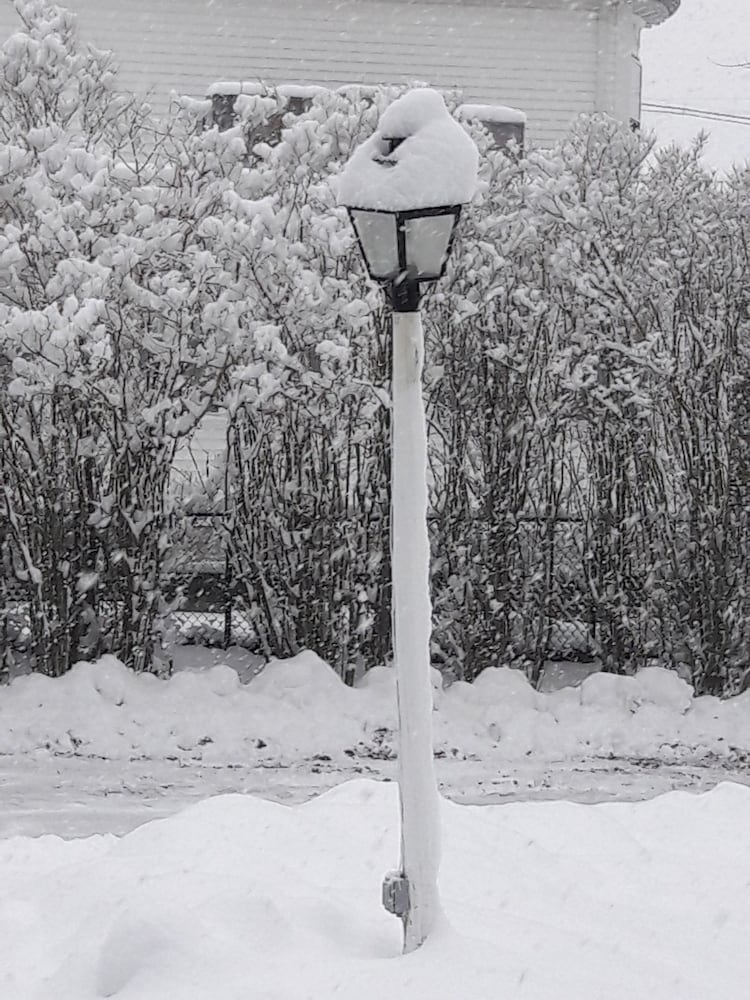 Фото The Proctor Mansion Inn