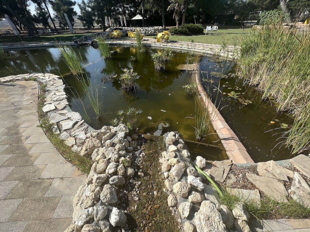 Фото Hotel El Cisne