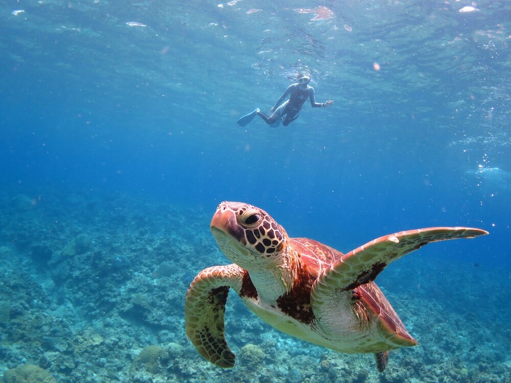 Фото Ishigaki Seaside Hotel