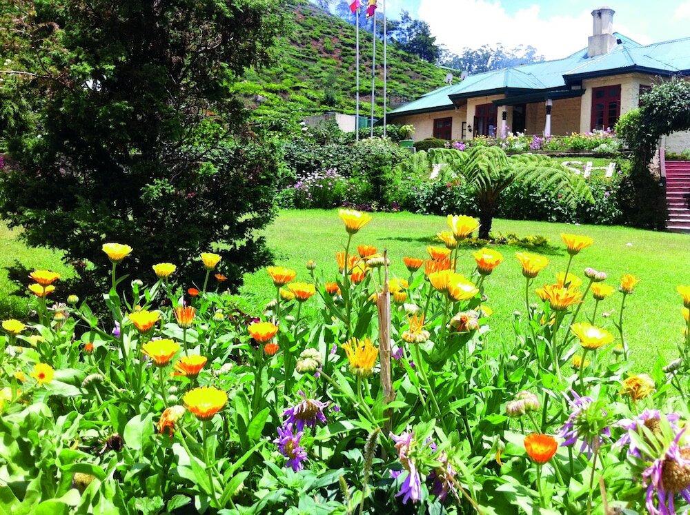 Фото Tea Bush Hotel - Nuwara Eliya
