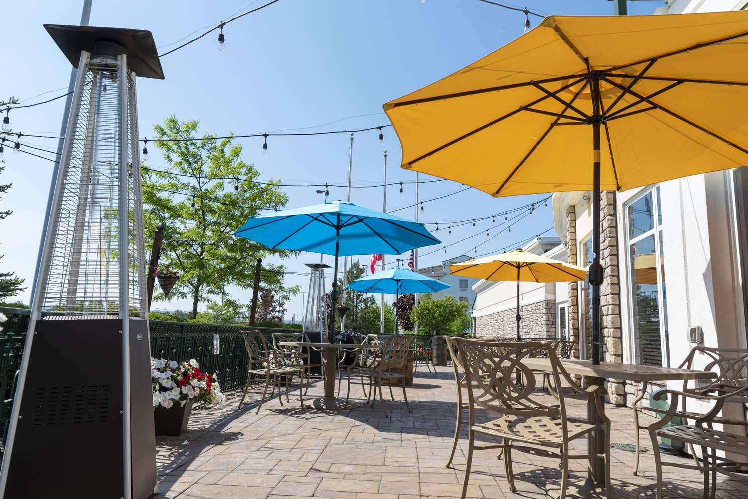 Фото Hilton Garden Inn Watertown/thousand Islands