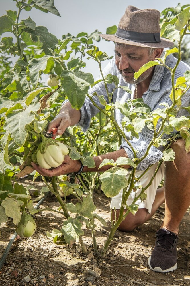 Фото Nano Suites