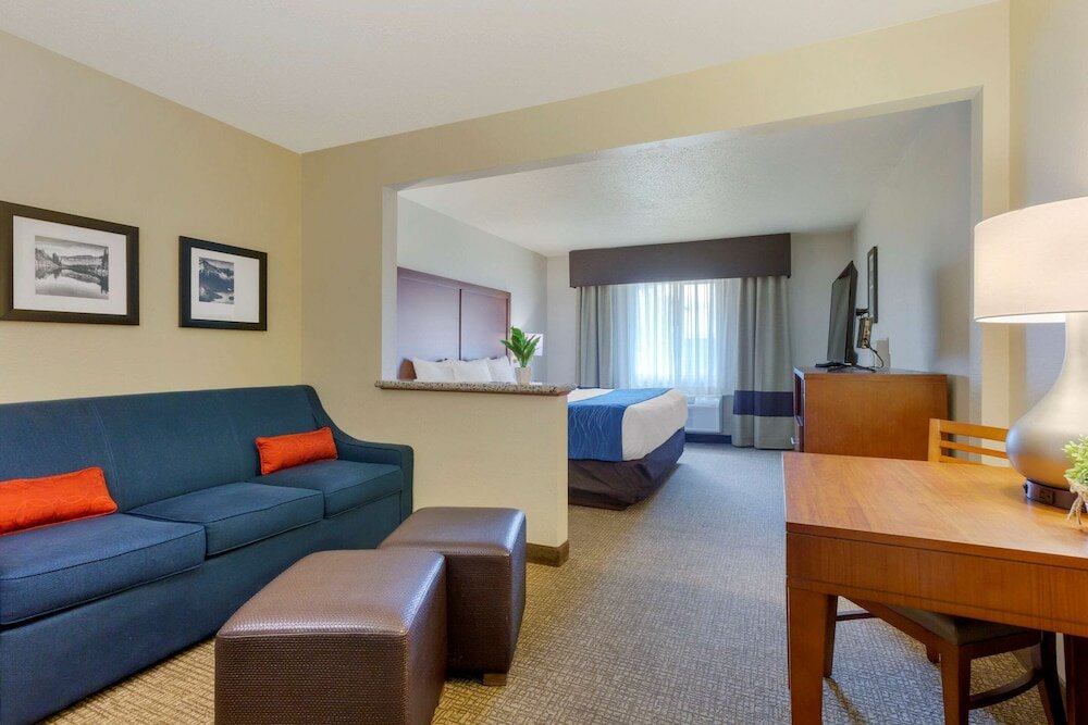 Фото Comfort Inn South