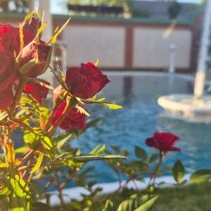 Гостиница Версаль в Краснодаре