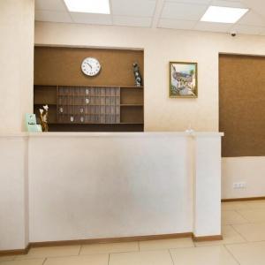 Фото Клевер