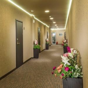 Фото Imperial Sun