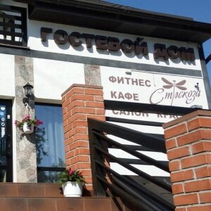 Фото Стрекоза