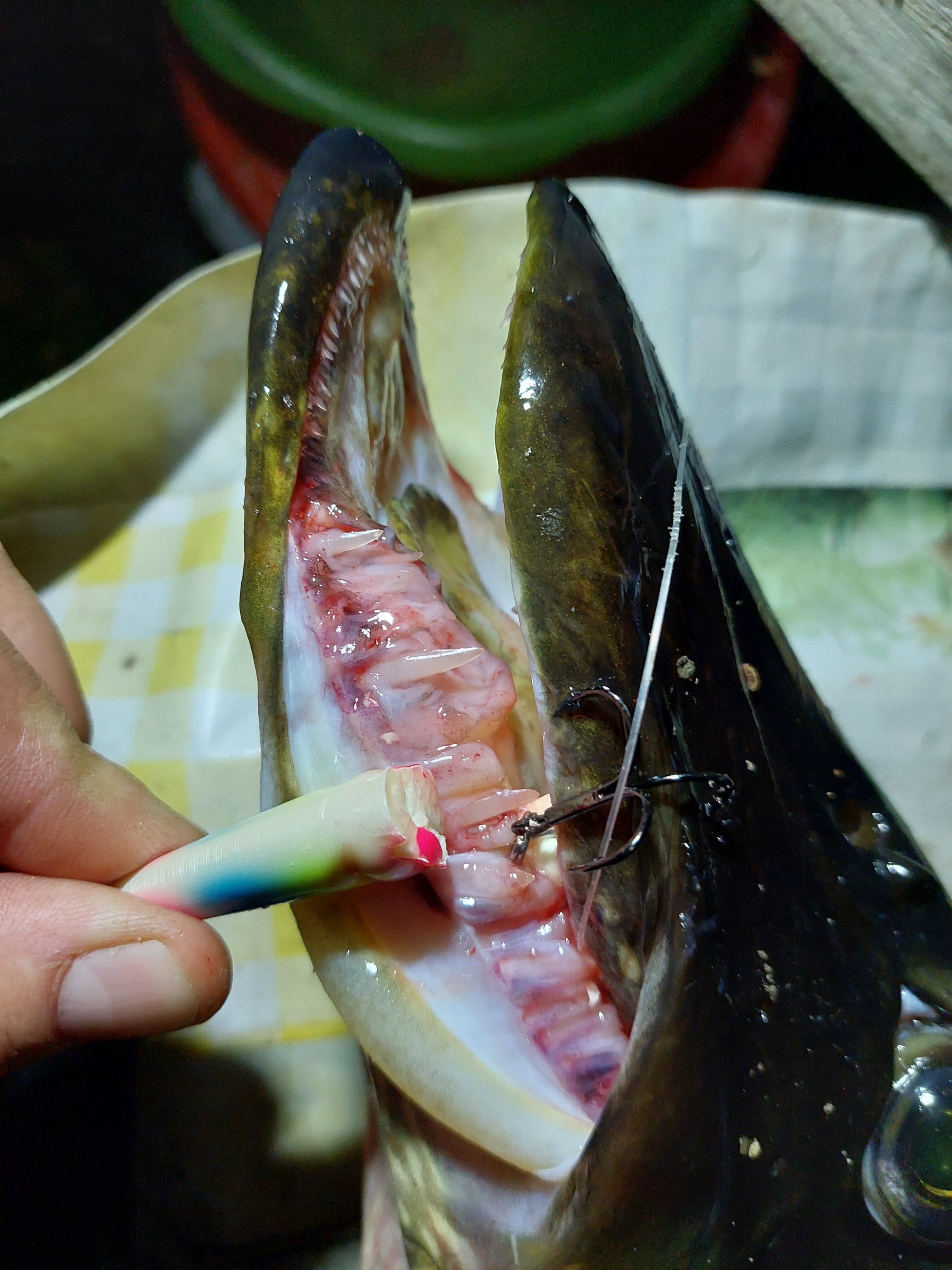 Фото Карху Сегозеро