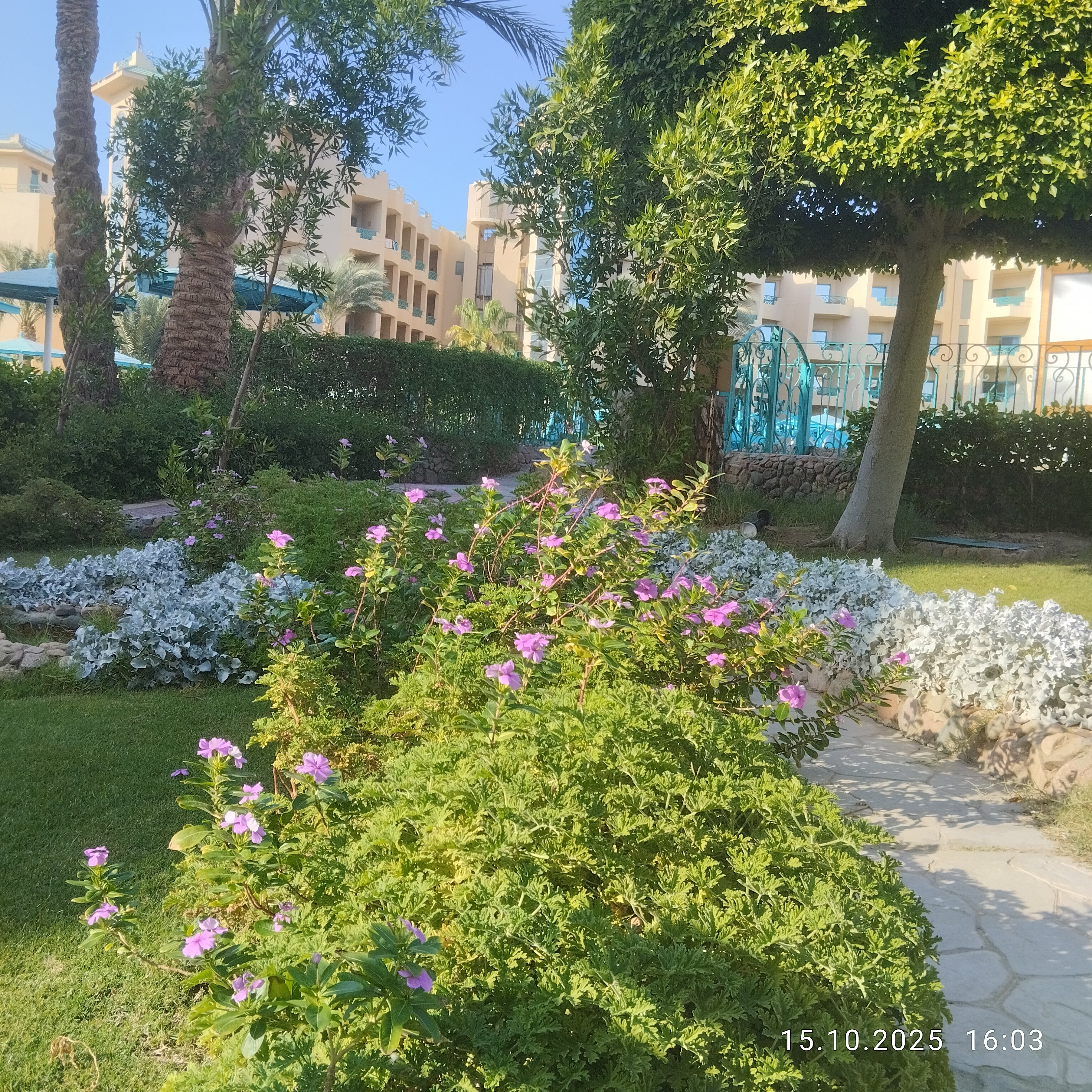 Фото Moreno Horizon SPA & Resort