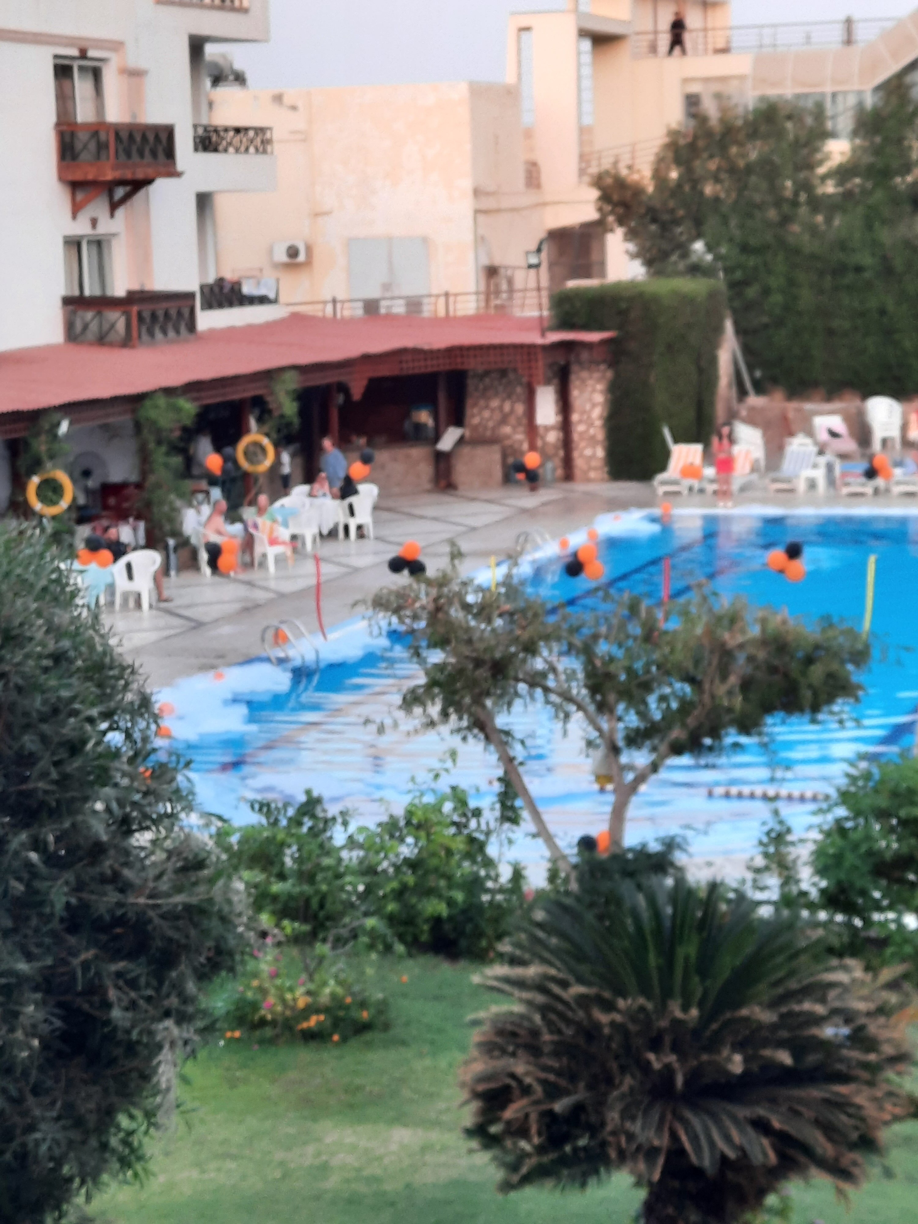 Фото Falcon Naama Star