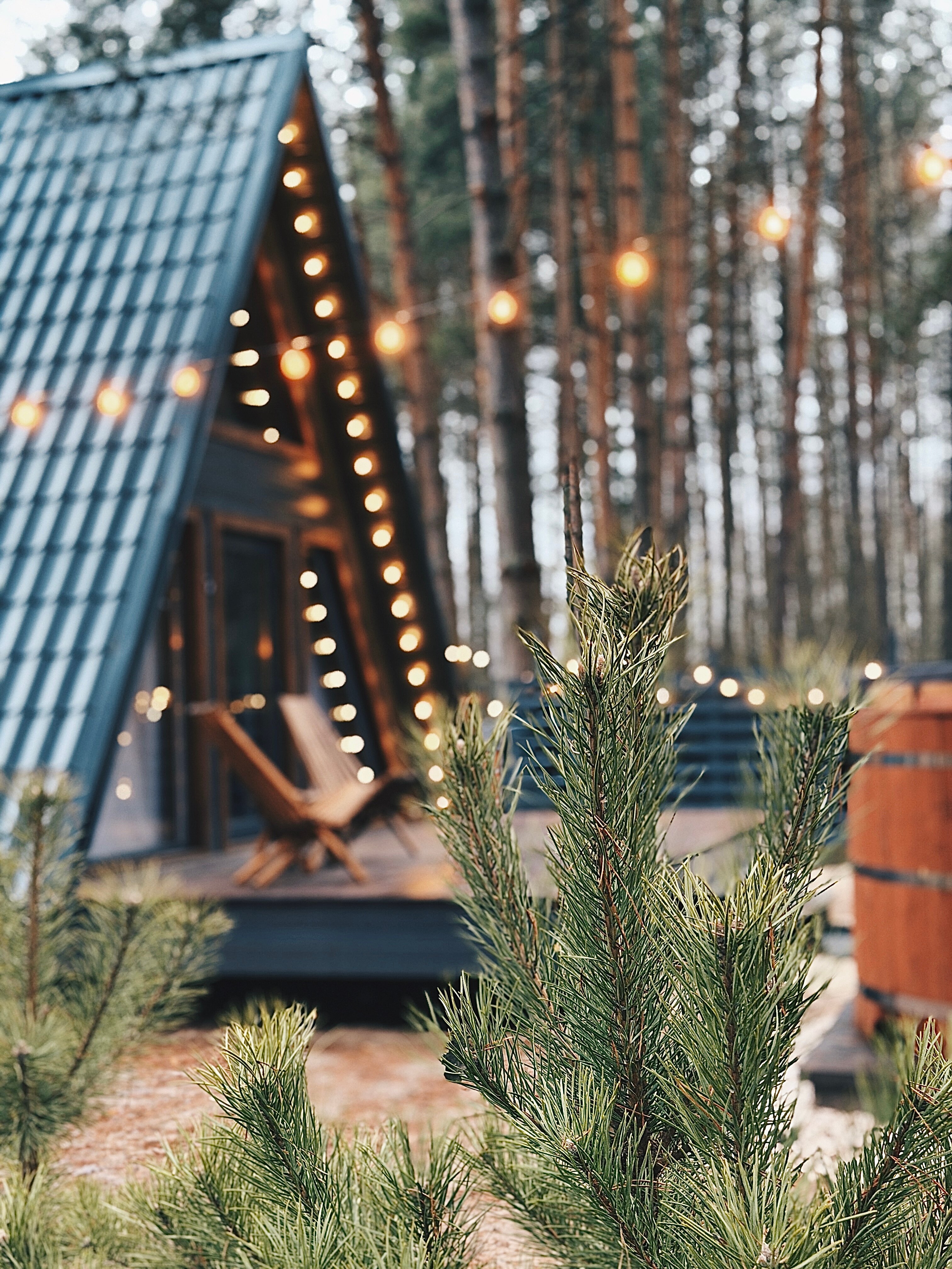 Фото Дубровка