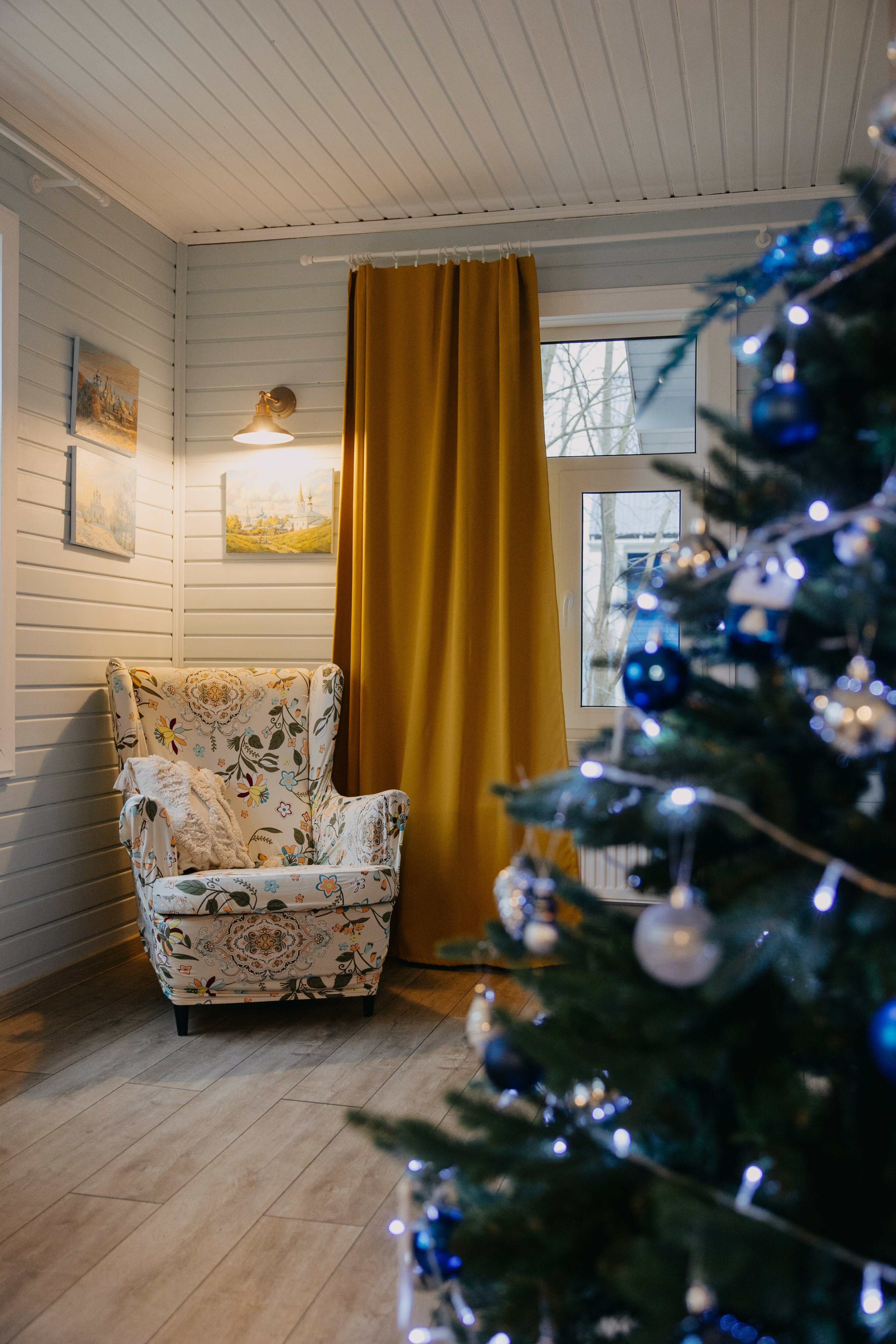 Фото Синяя синица