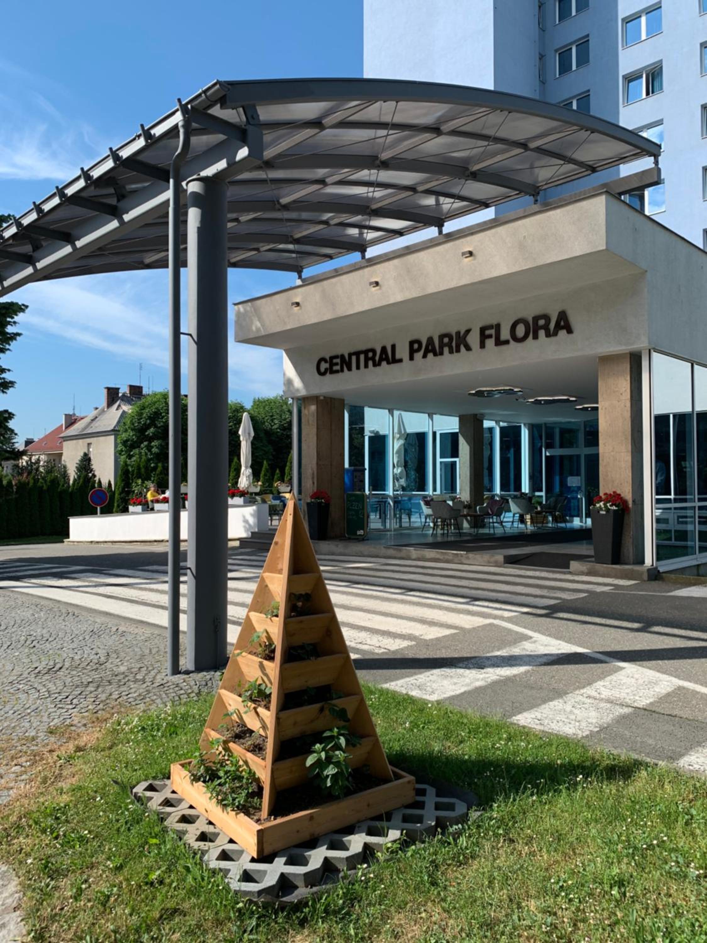 Фото Hotel Flora