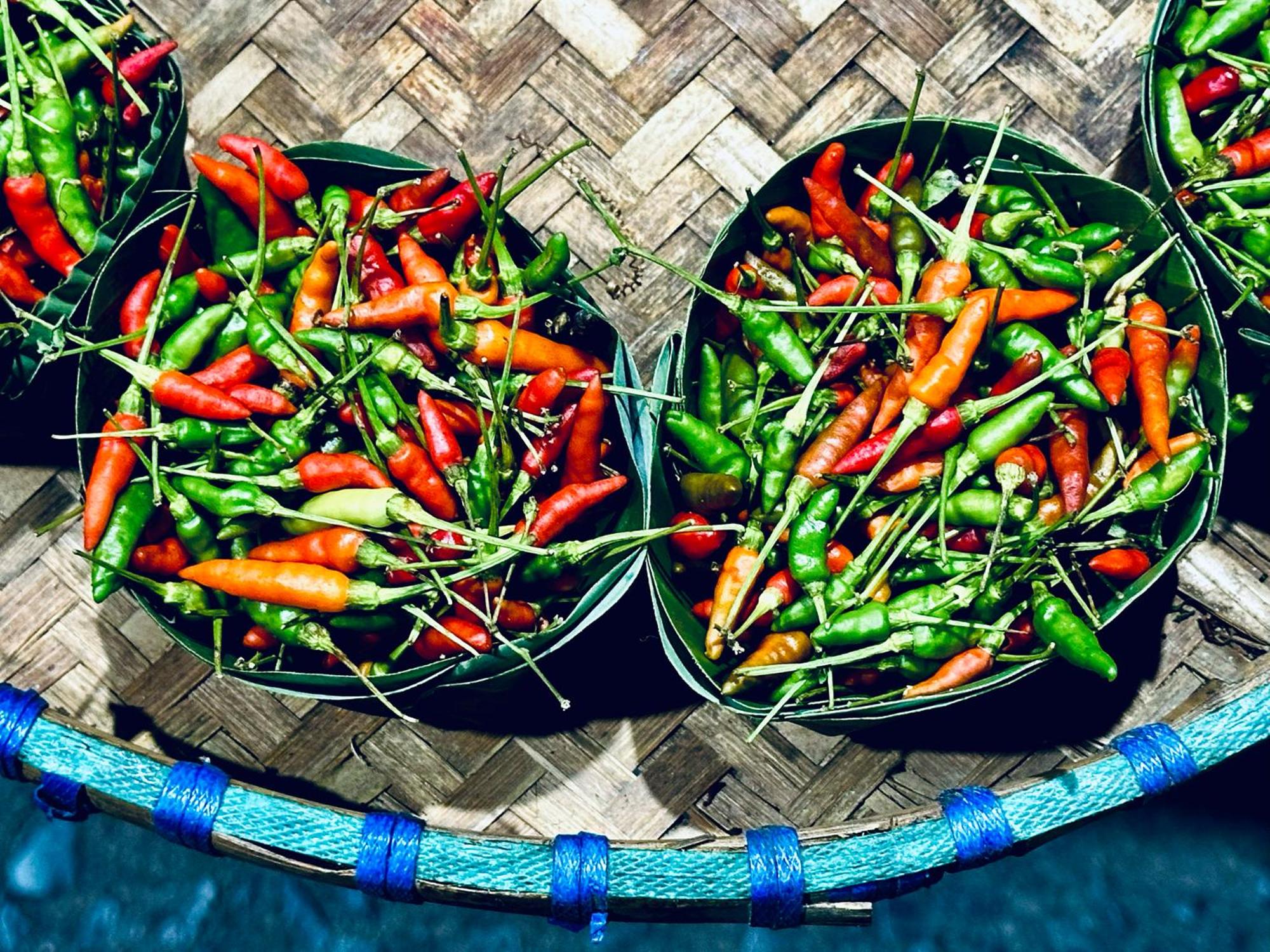 Фото Dreamville Koh Phangan