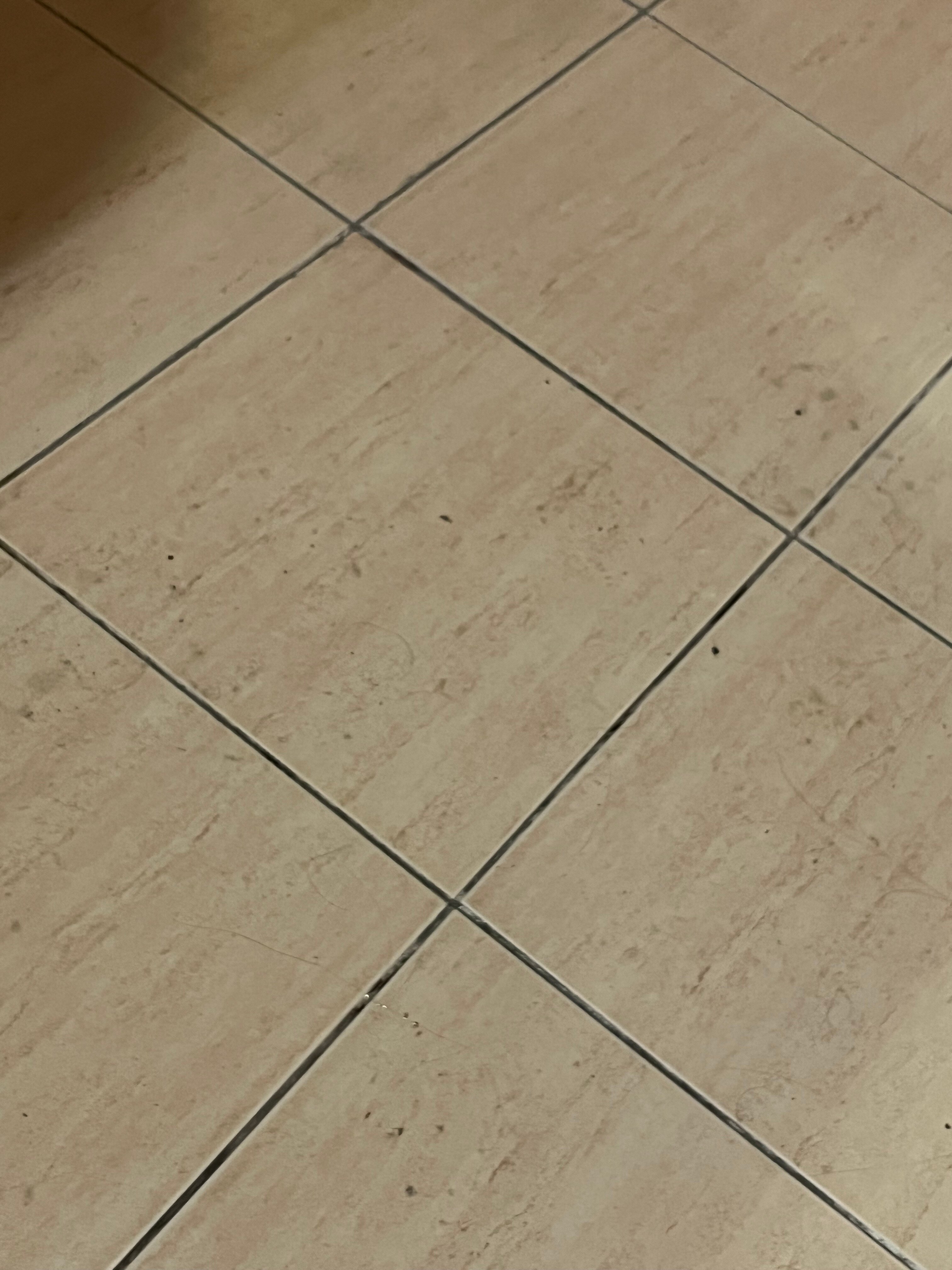 Фото Надежда 2