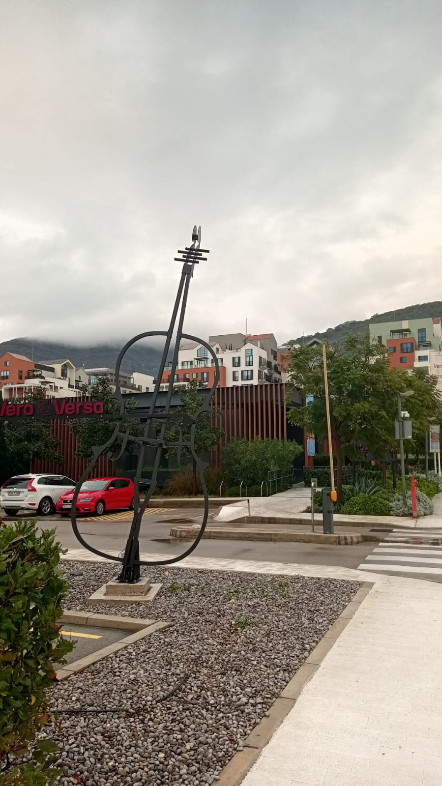 Фото Пальма