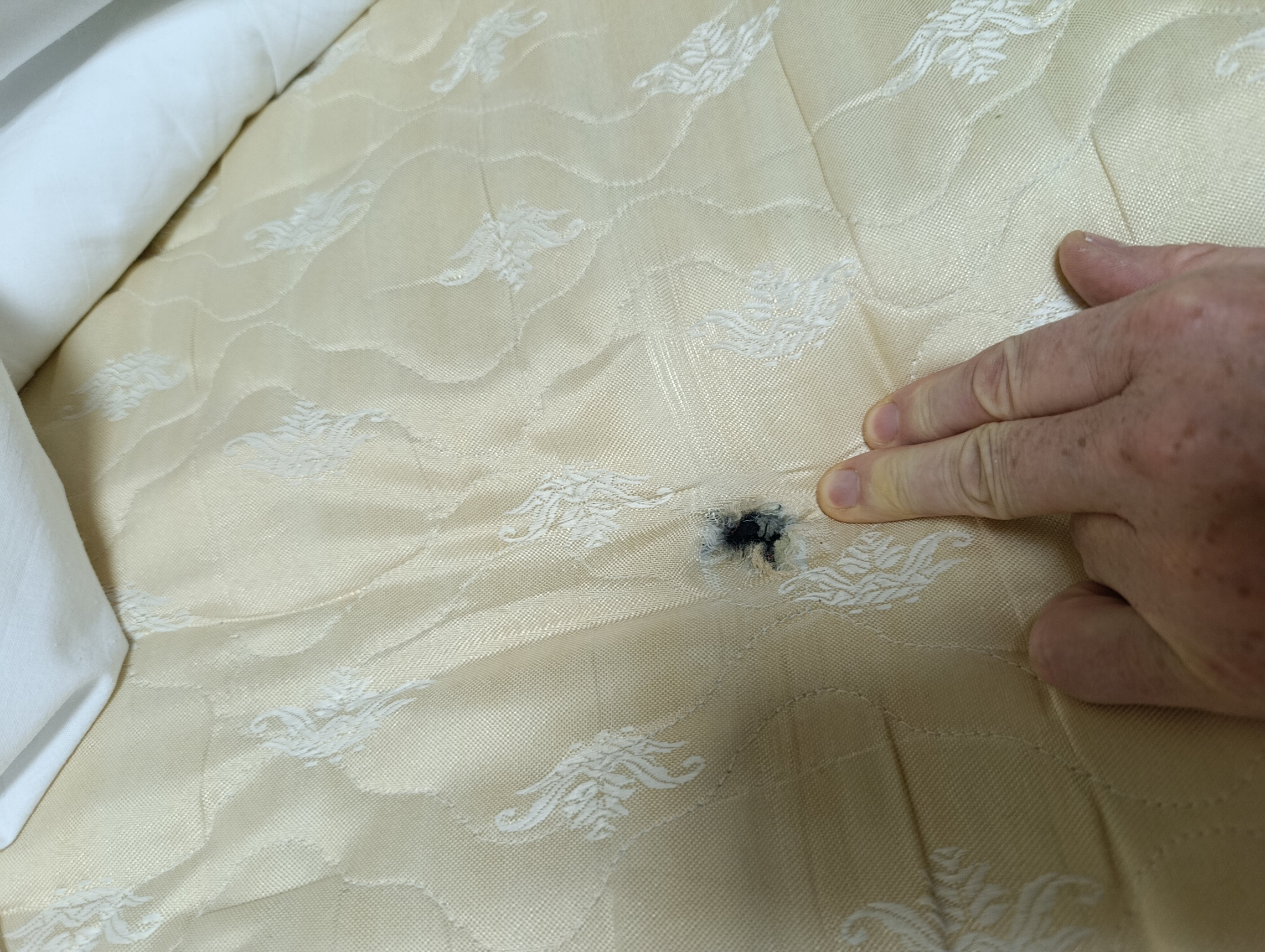 Фото Нежинка