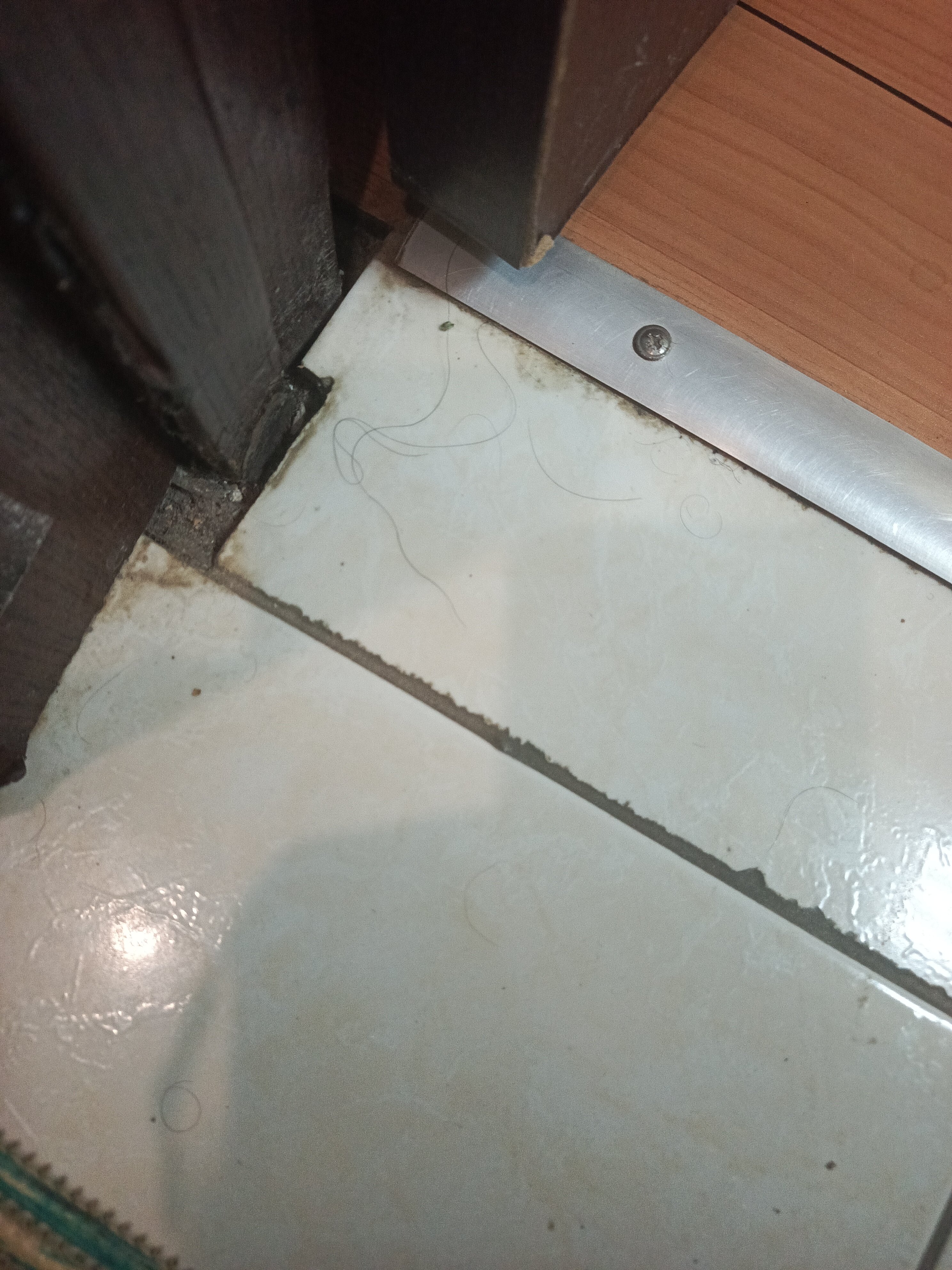 Фото Дубрава