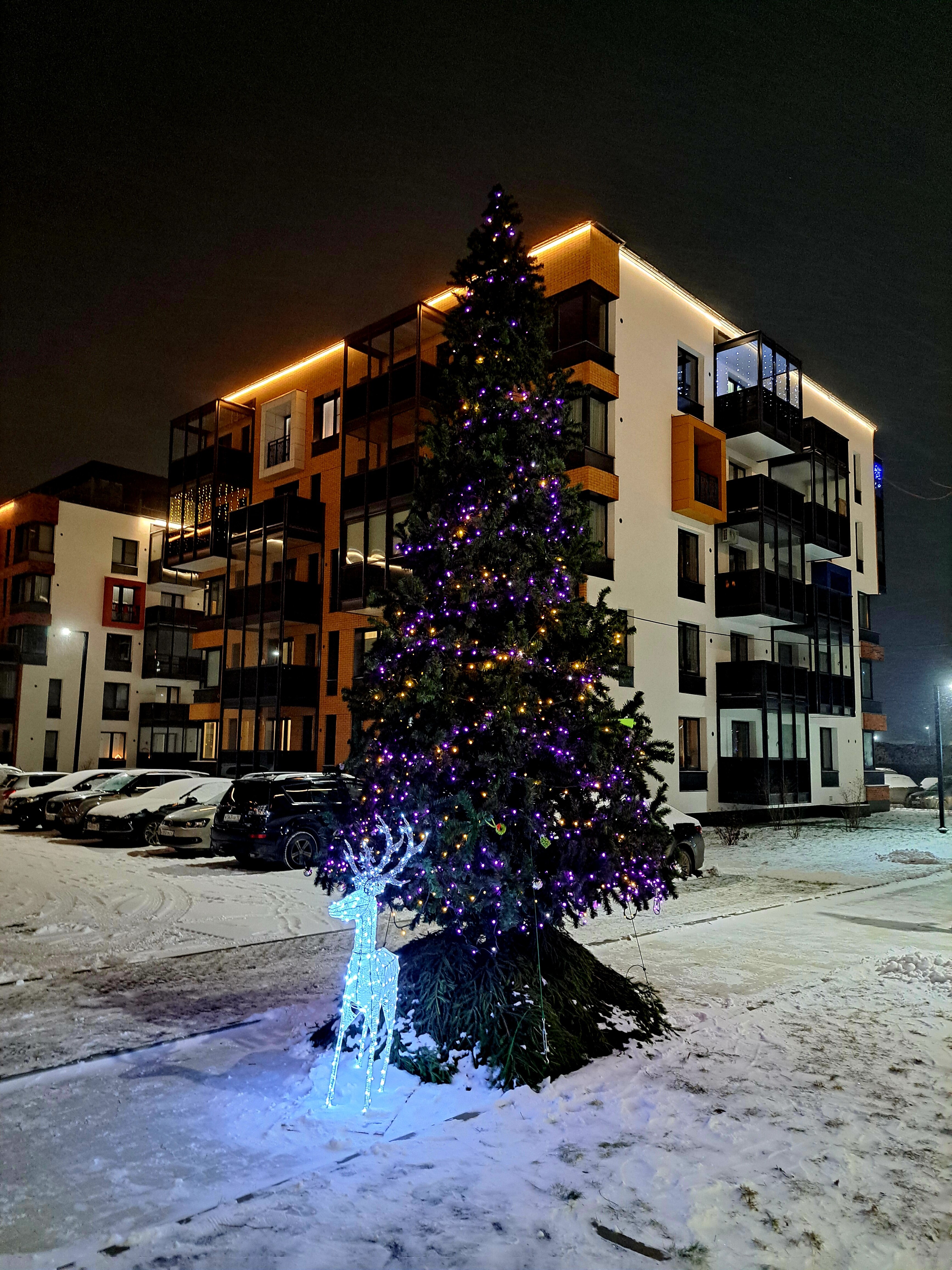 Фото Go Karelia