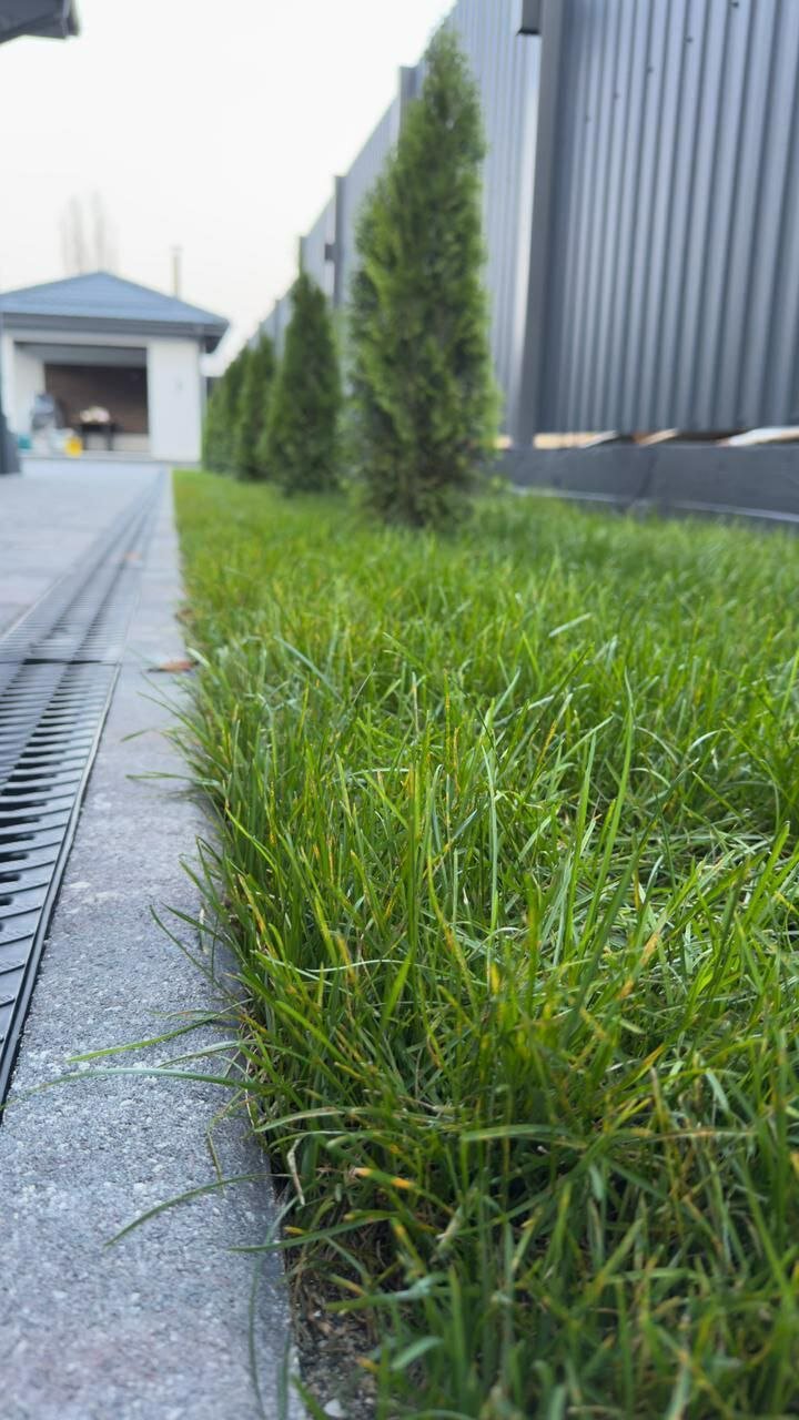 Фото Dacha № 42