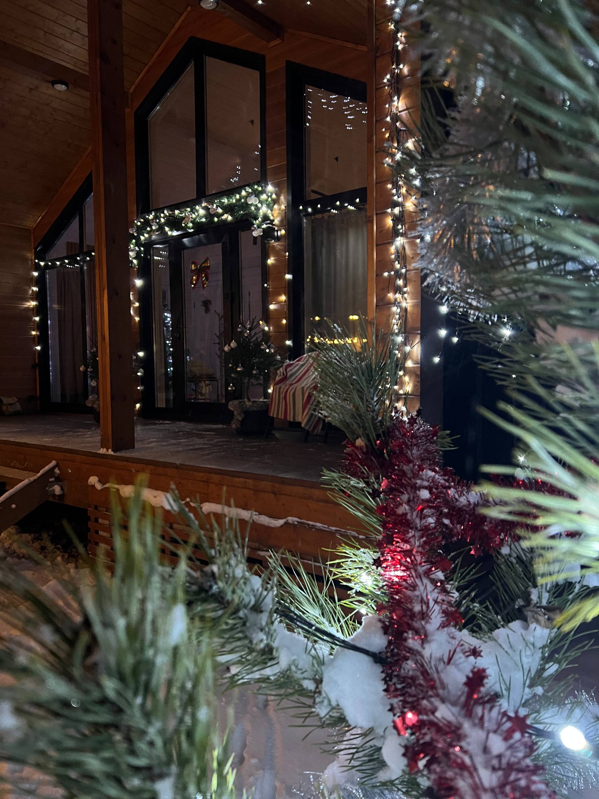 Фото У Березы