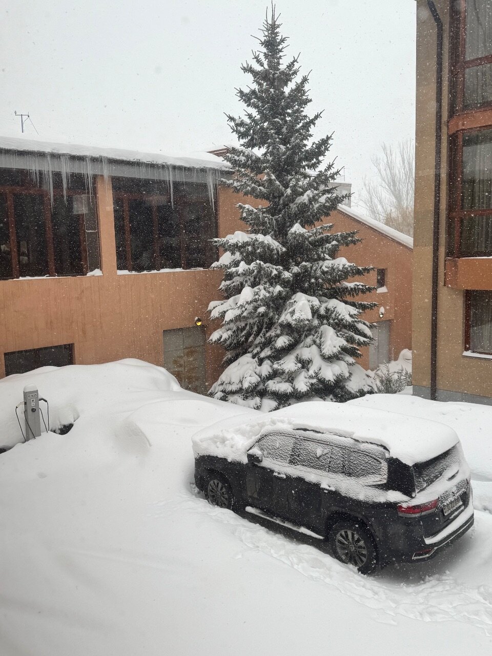 Фото Отель Россия