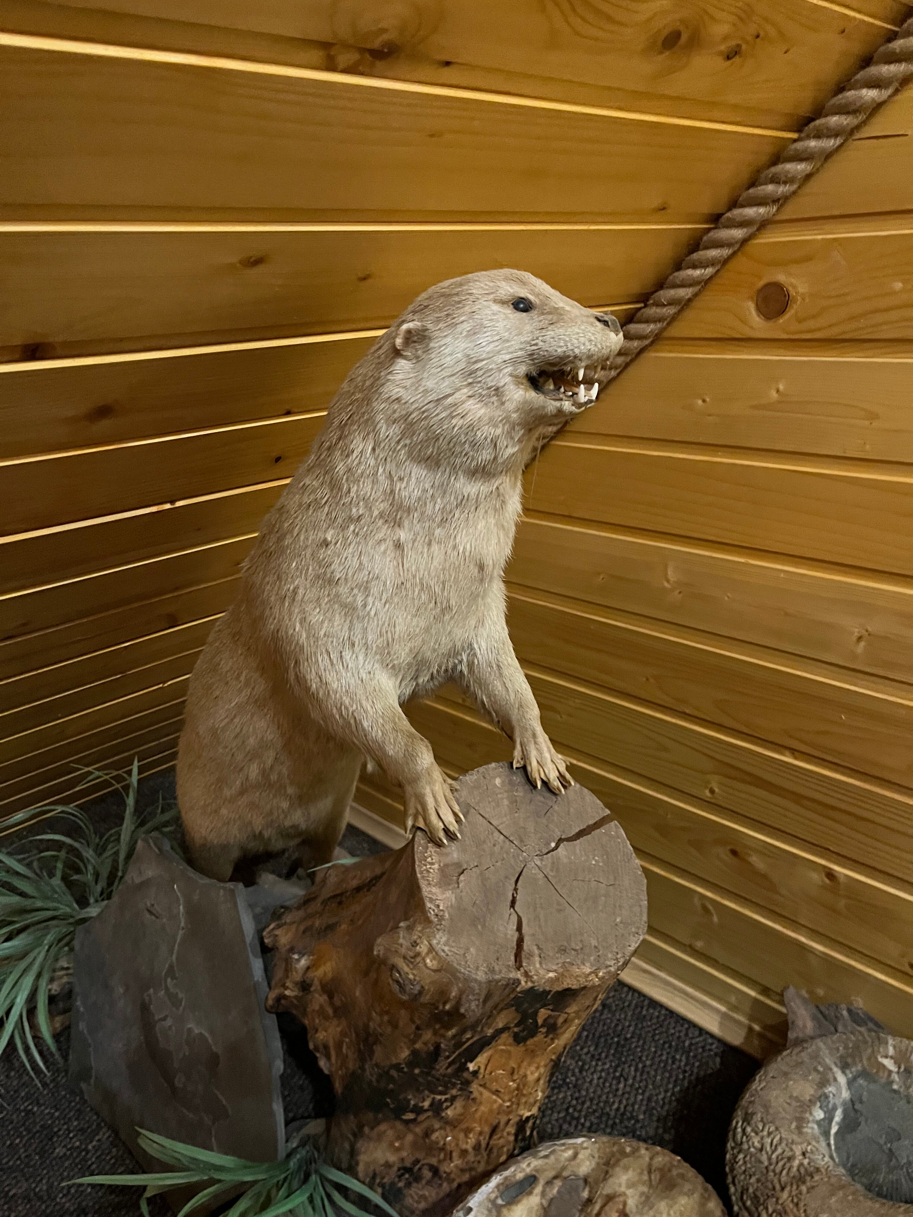 Фото Прохладный