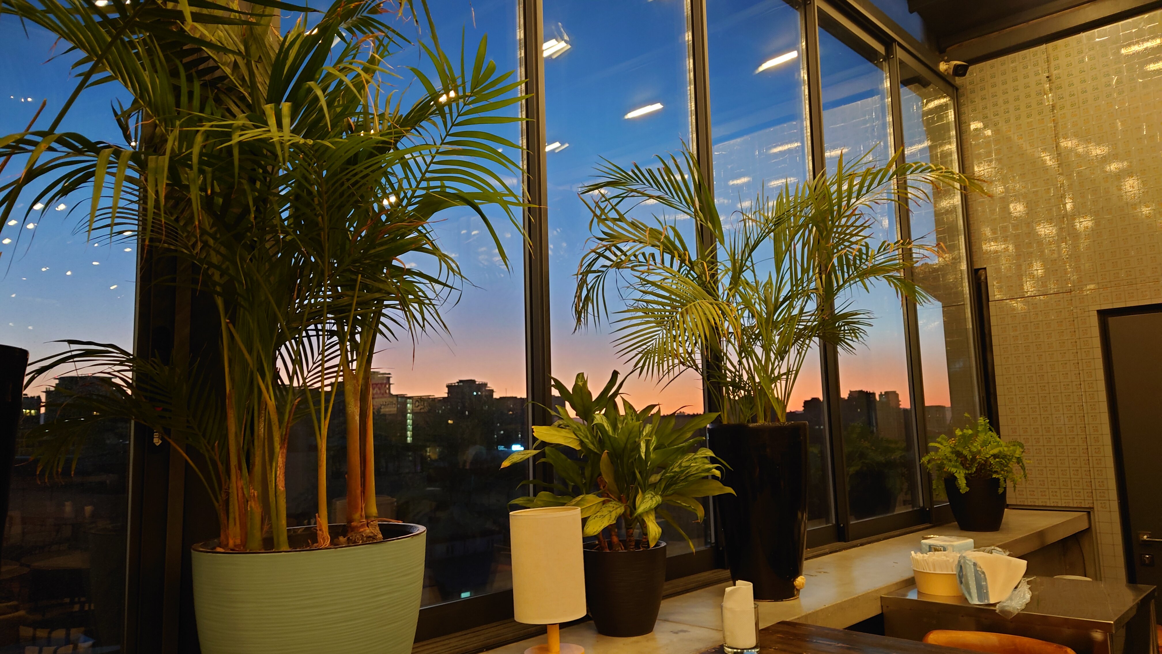 Фото Sapiens Hotel