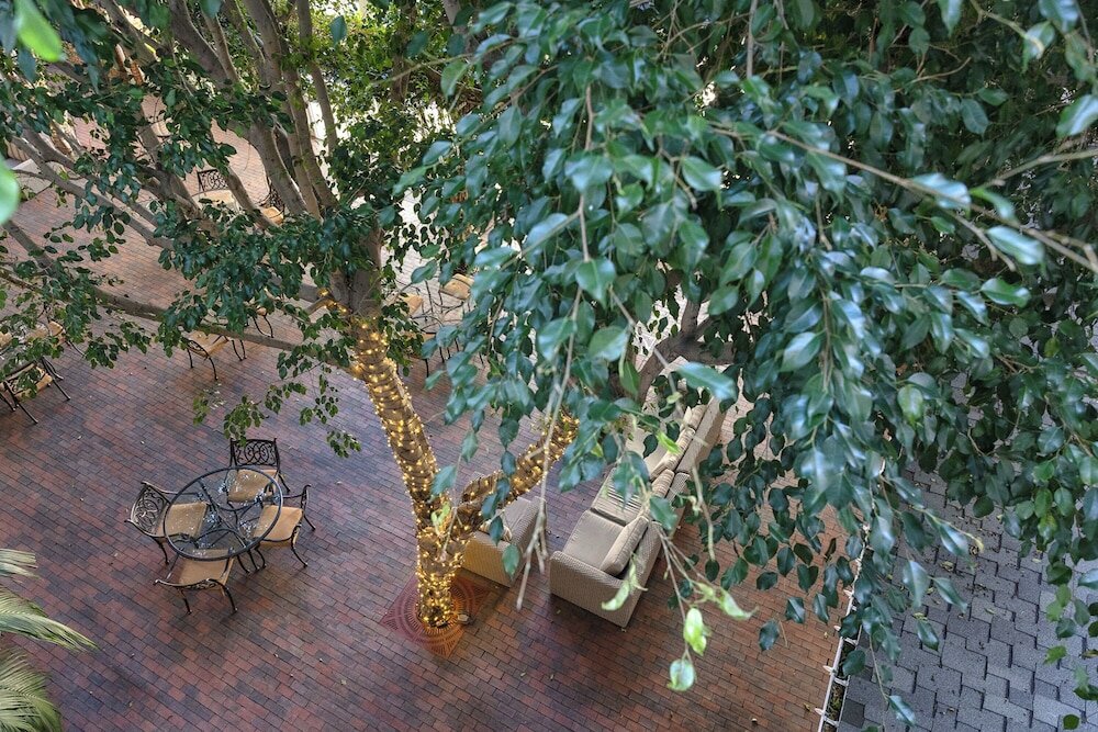 Фото The Horton Grand Hotel