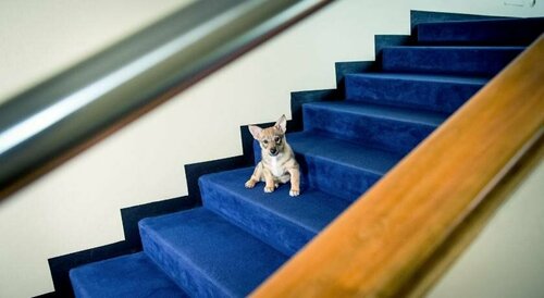 Гостиница Hotel Raumanlinna в Раума