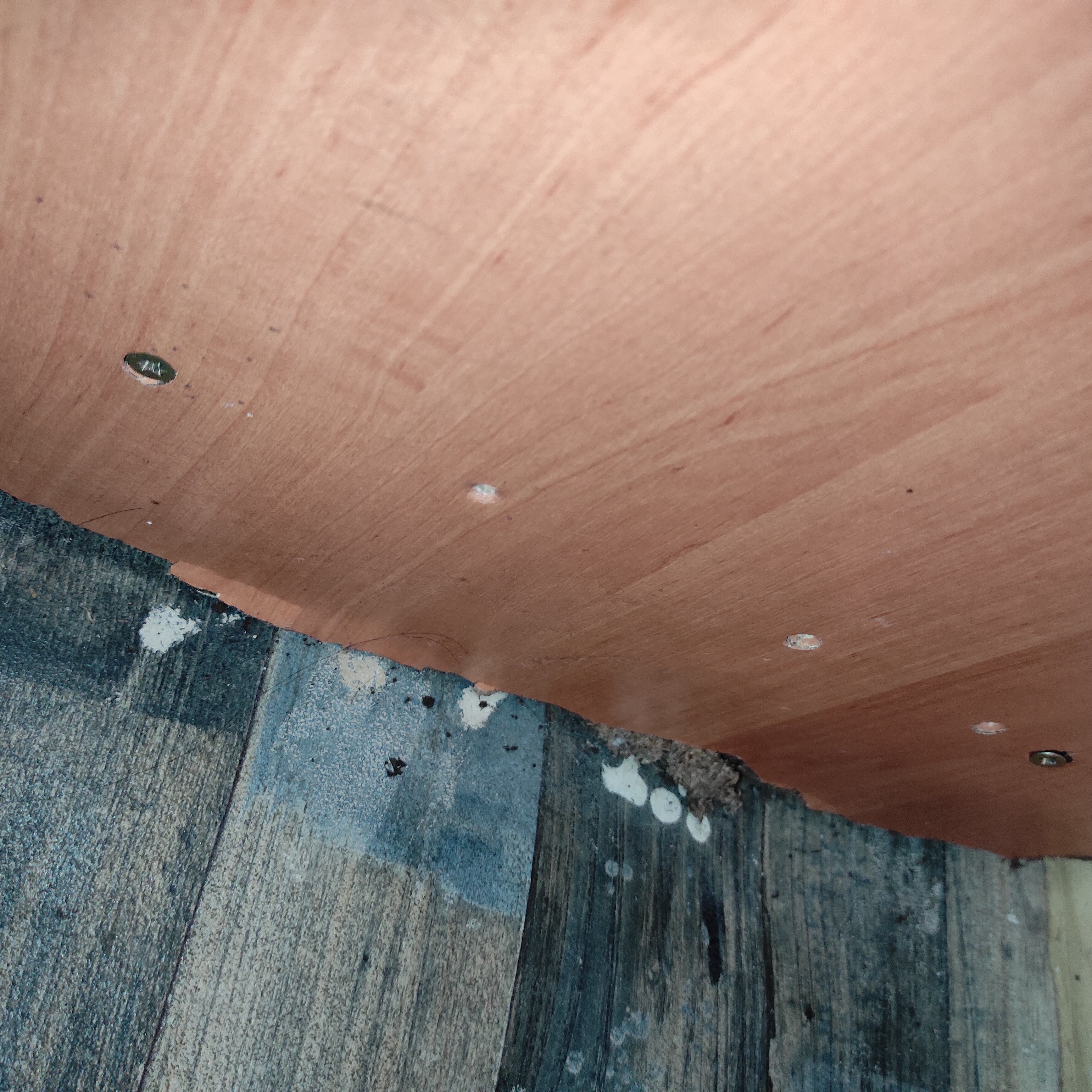 Фото Морской Бриз