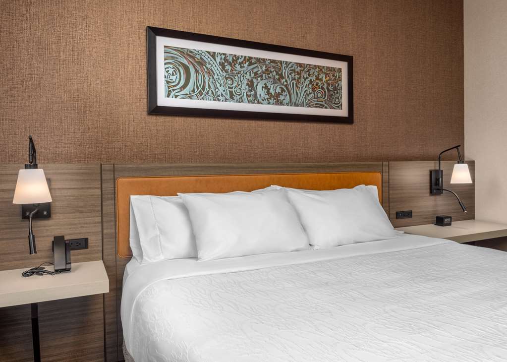 Фото Hilton Garden Inn Chicago Central Loop