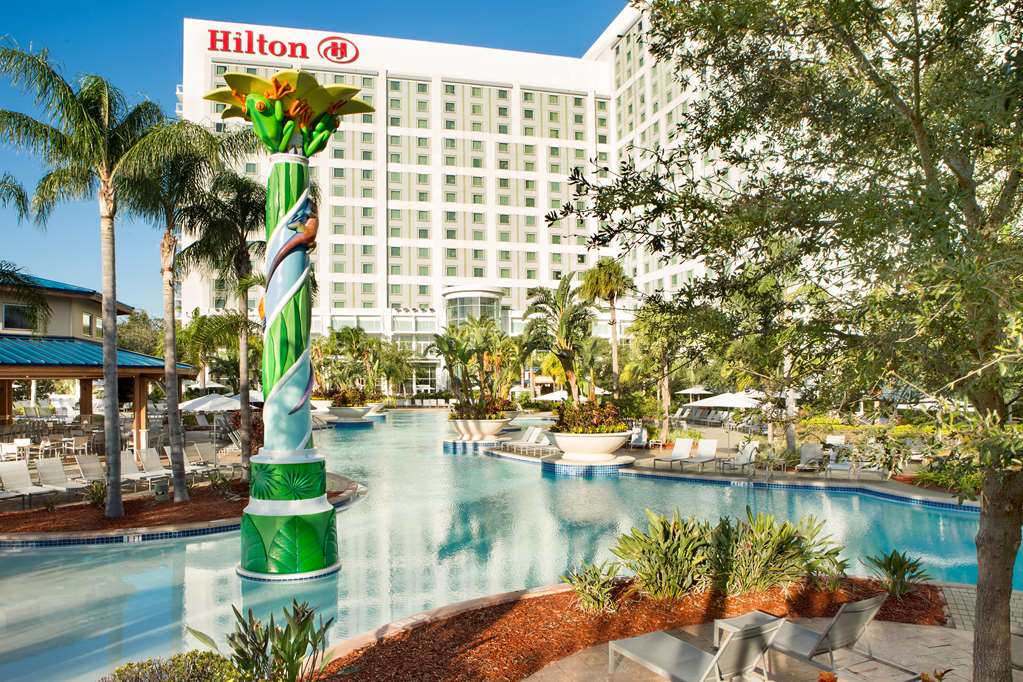 Фото Hilton Orlando