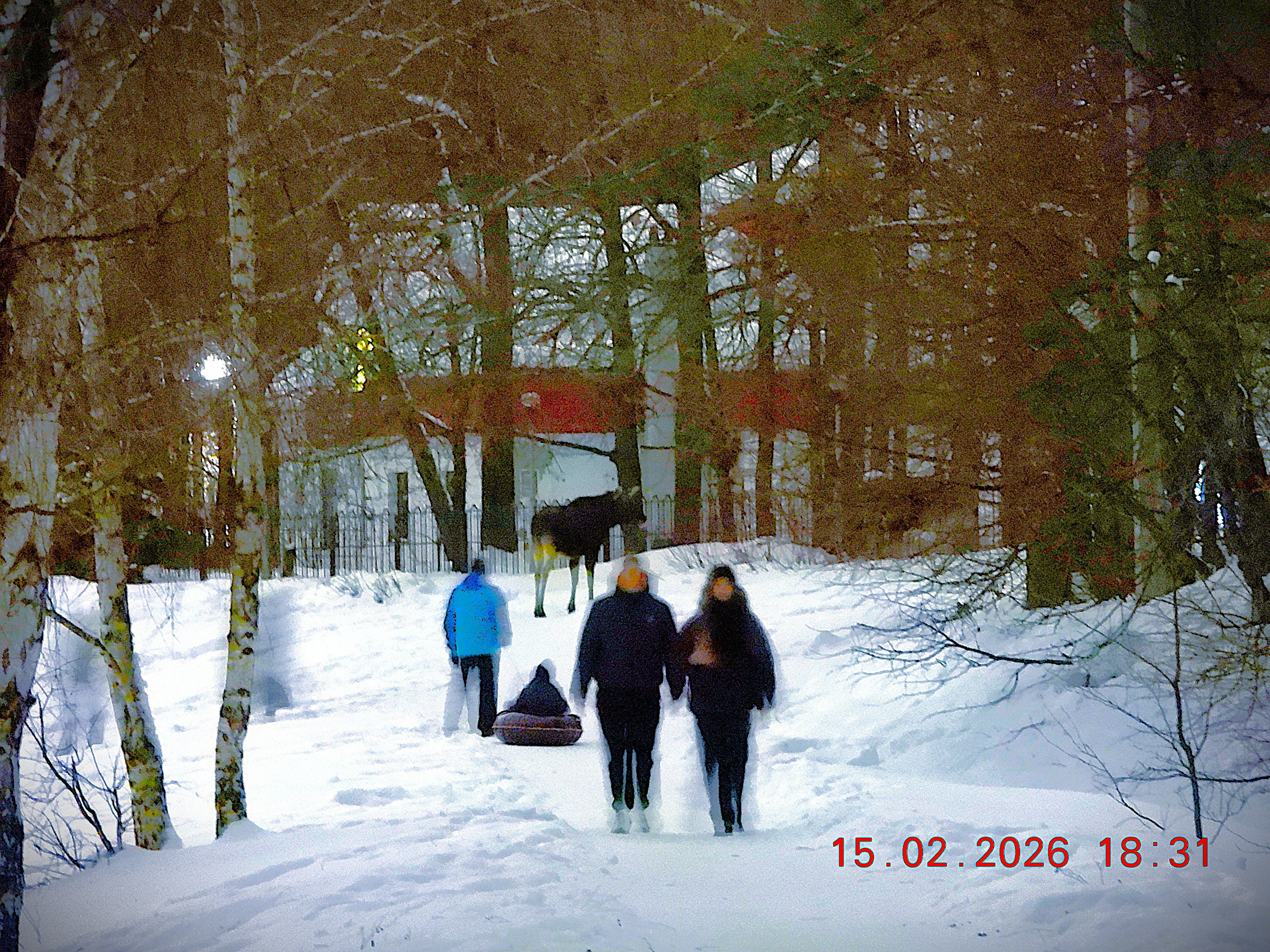 Фото Лесная