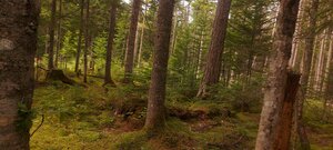 Гостиница Советская Гавань