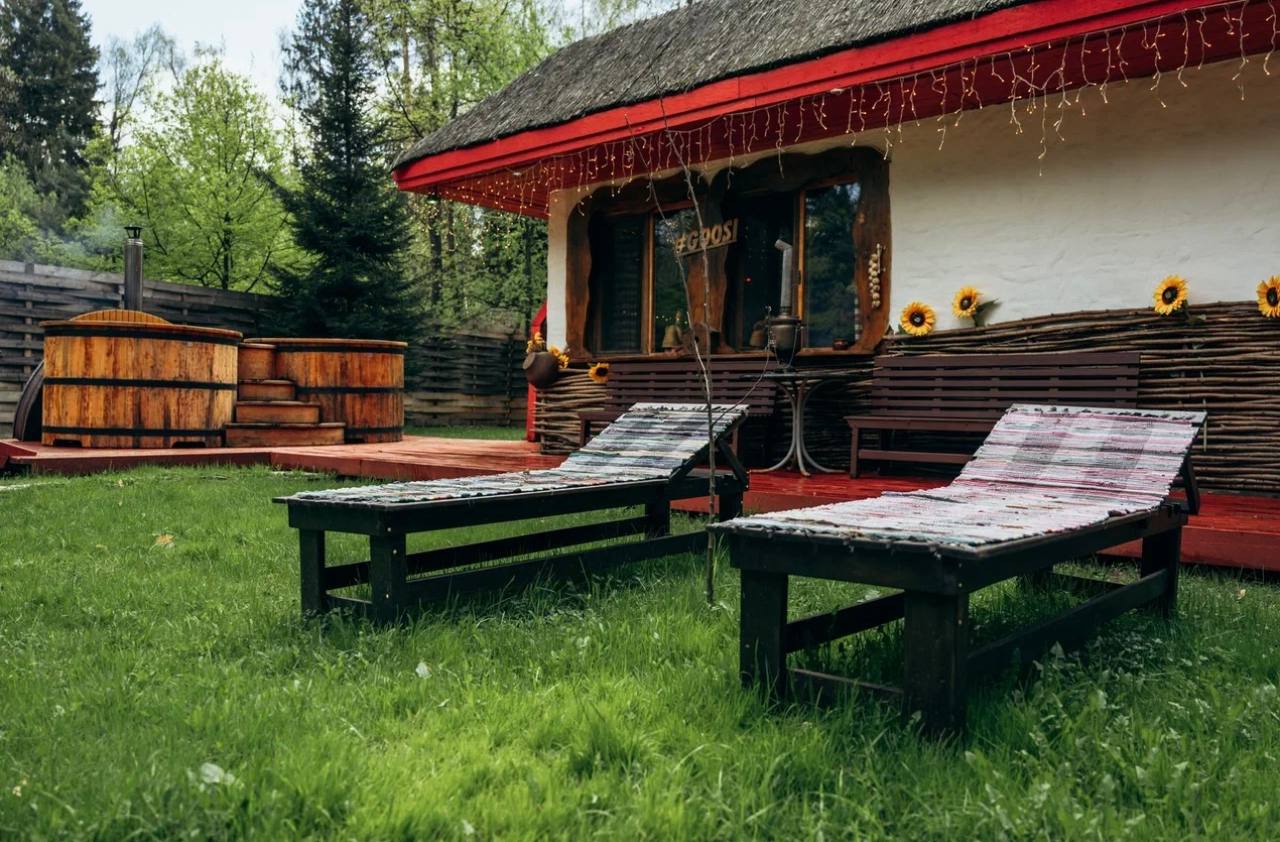 Фото Гуси-Лебеди